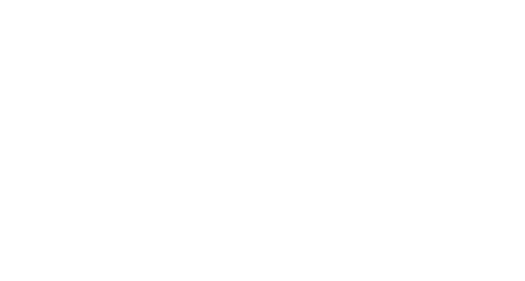 ELVN Academy Logo